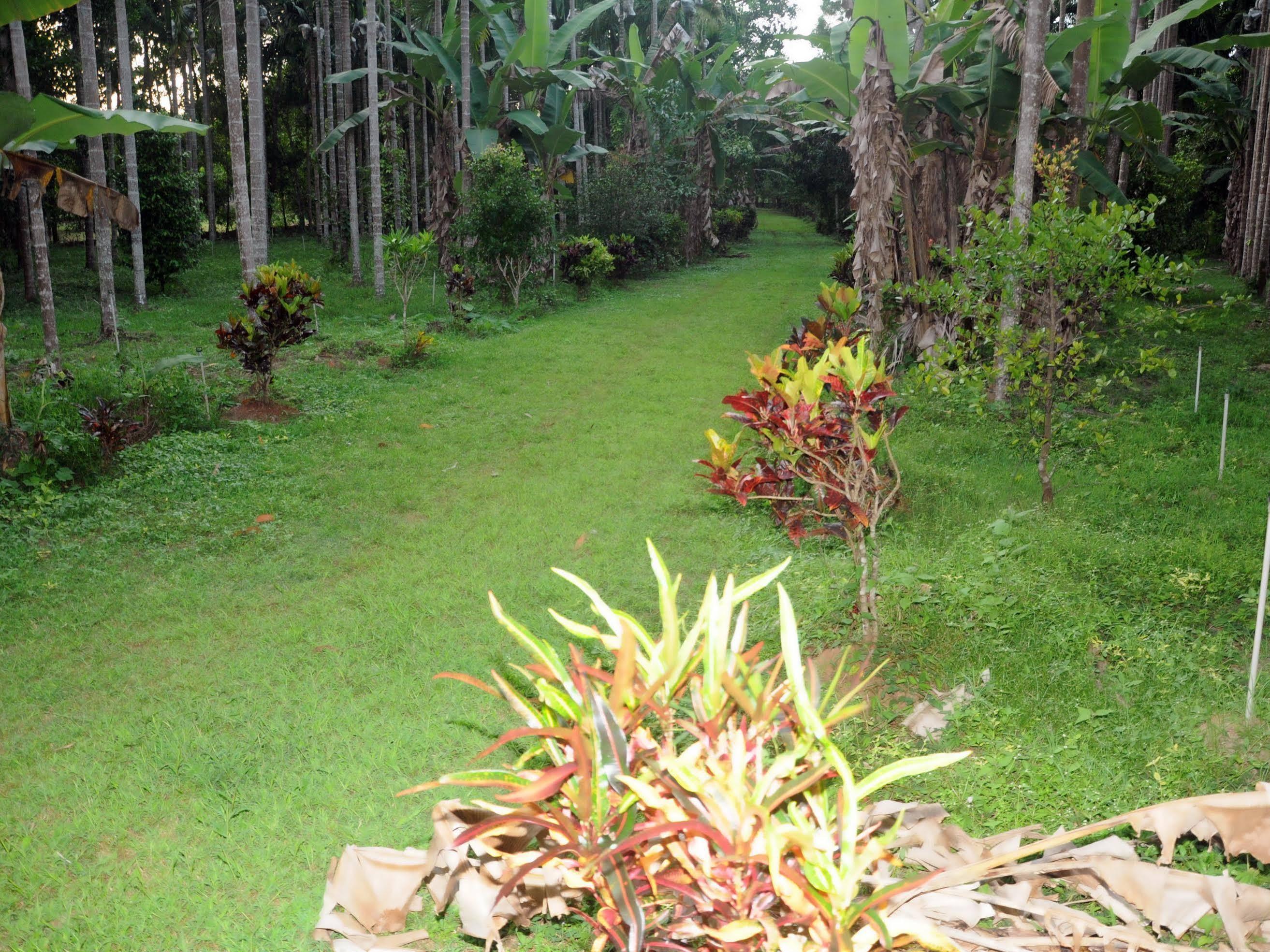 Sathwik Homestay Kumta Luaran gambar